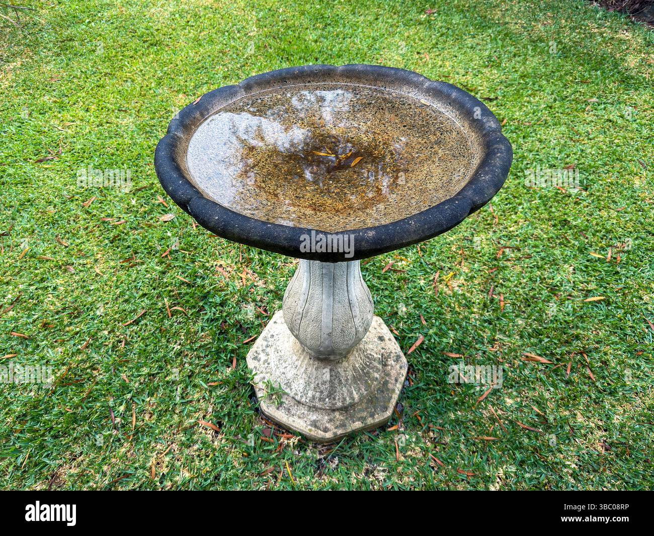 Figure 1: A classic stone birdbath in a garden, providing a visual context for calculating water volume.