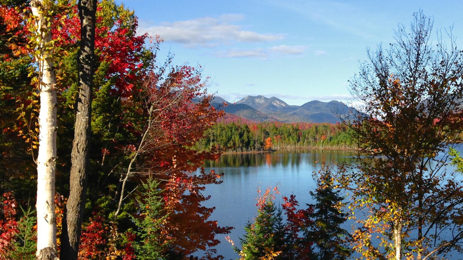 Figure 1: The Adirondack Mountains in New York, featuring rugged, densely forested peaks typical of the northern Appalachian range.